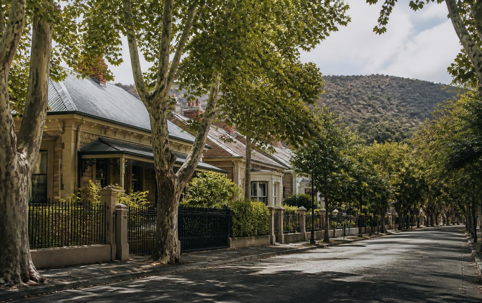 A leafy Adelaide heritage street